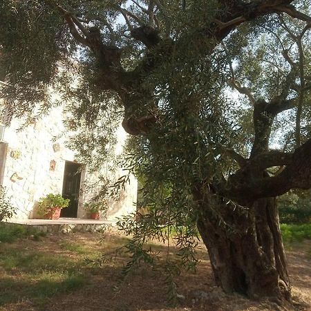 Olive Trees Villa Tragaki Buitenkant foto