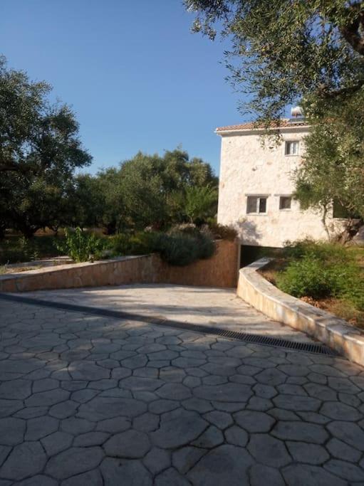 Olive Trees Villa Tragaki Buitenkant foto